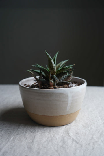 Handmade Rustic Plant Pot